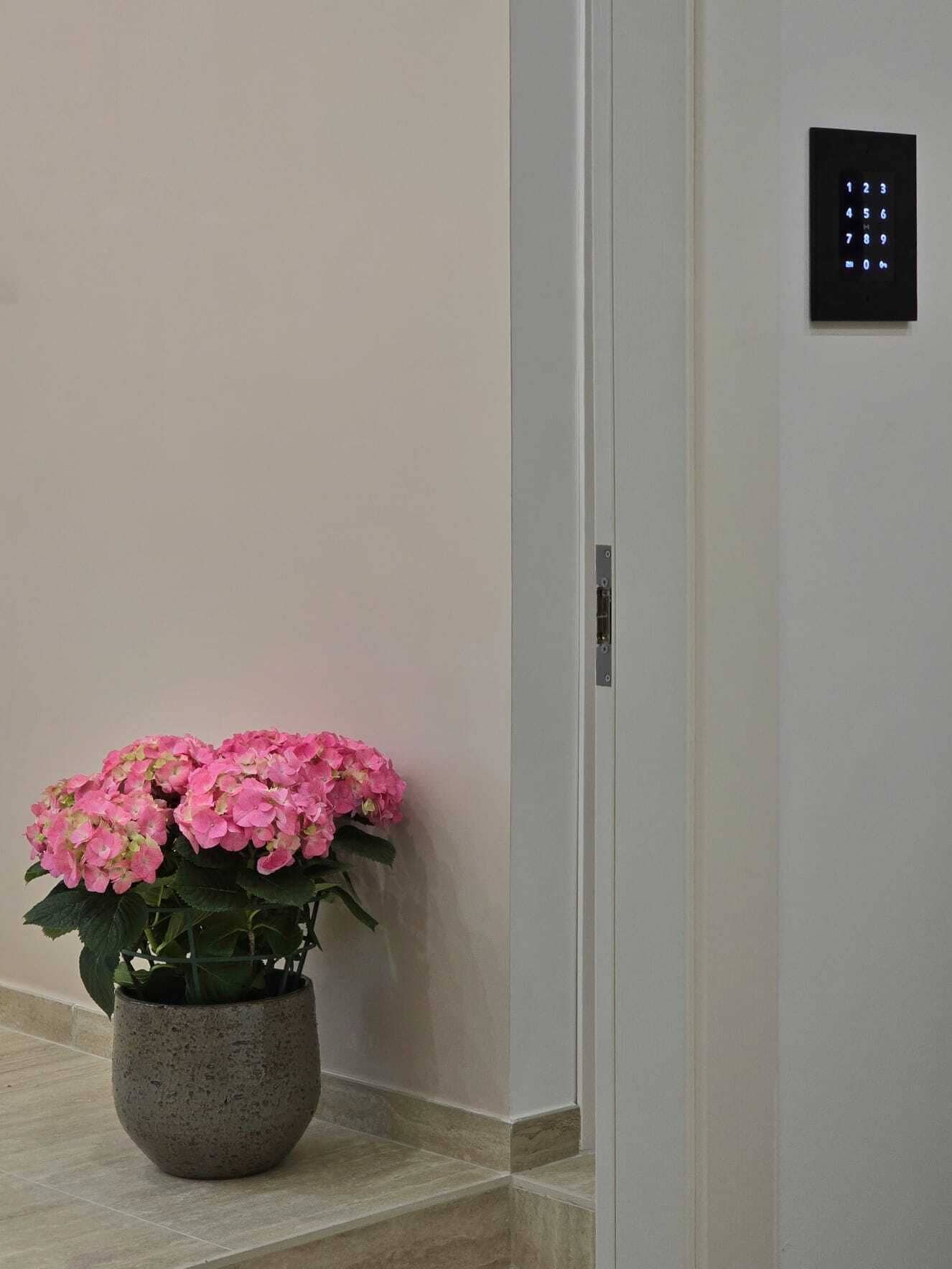 A potted plant with pink flowers in a hallway with a wall-mounted elevator control panel.