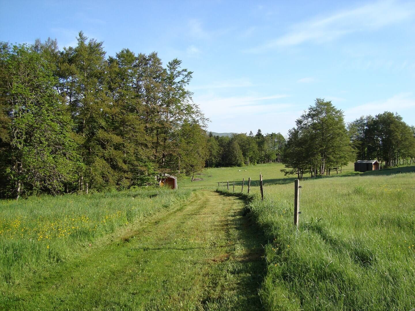 A rural landscape with a dirt path leading through a grassy field, bordered by trees and a wooden fence.