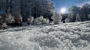Schneebedeckte Landschaft mit Bäumen und blauem Himmel.