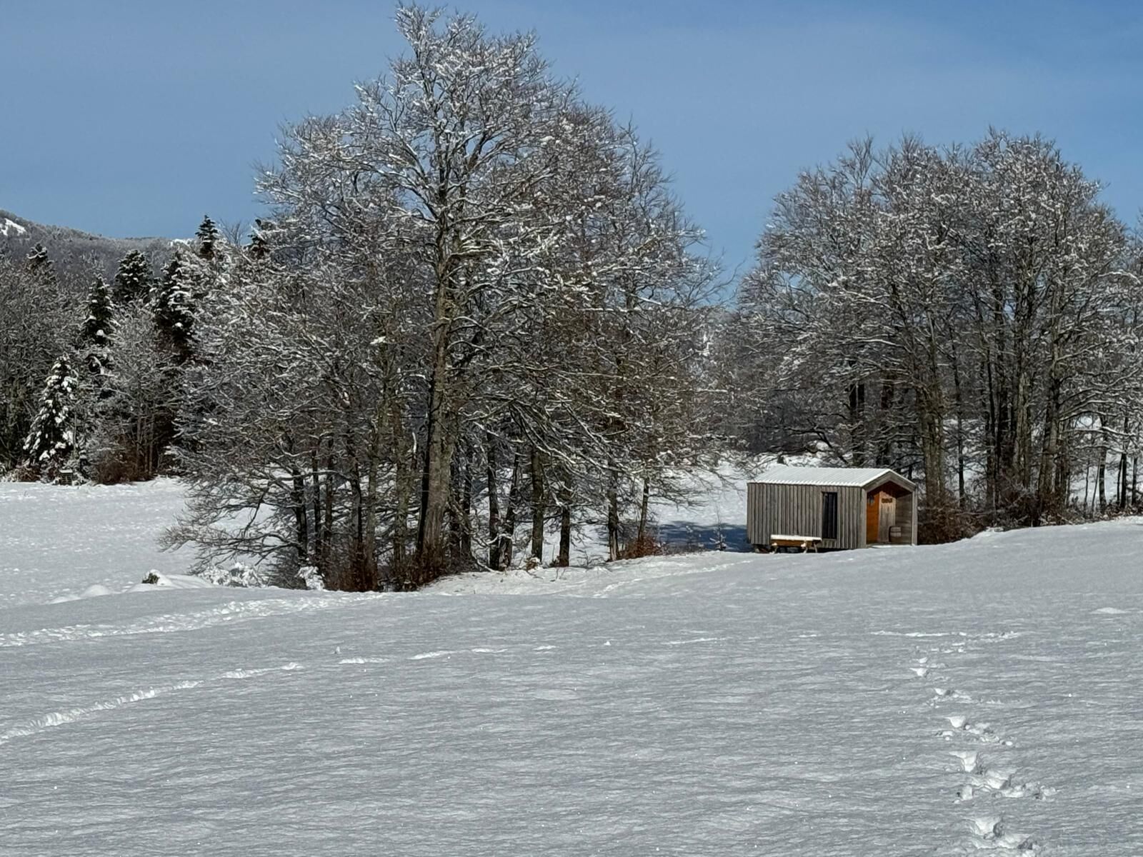A small cabin in a snowy forest with a clear sky.