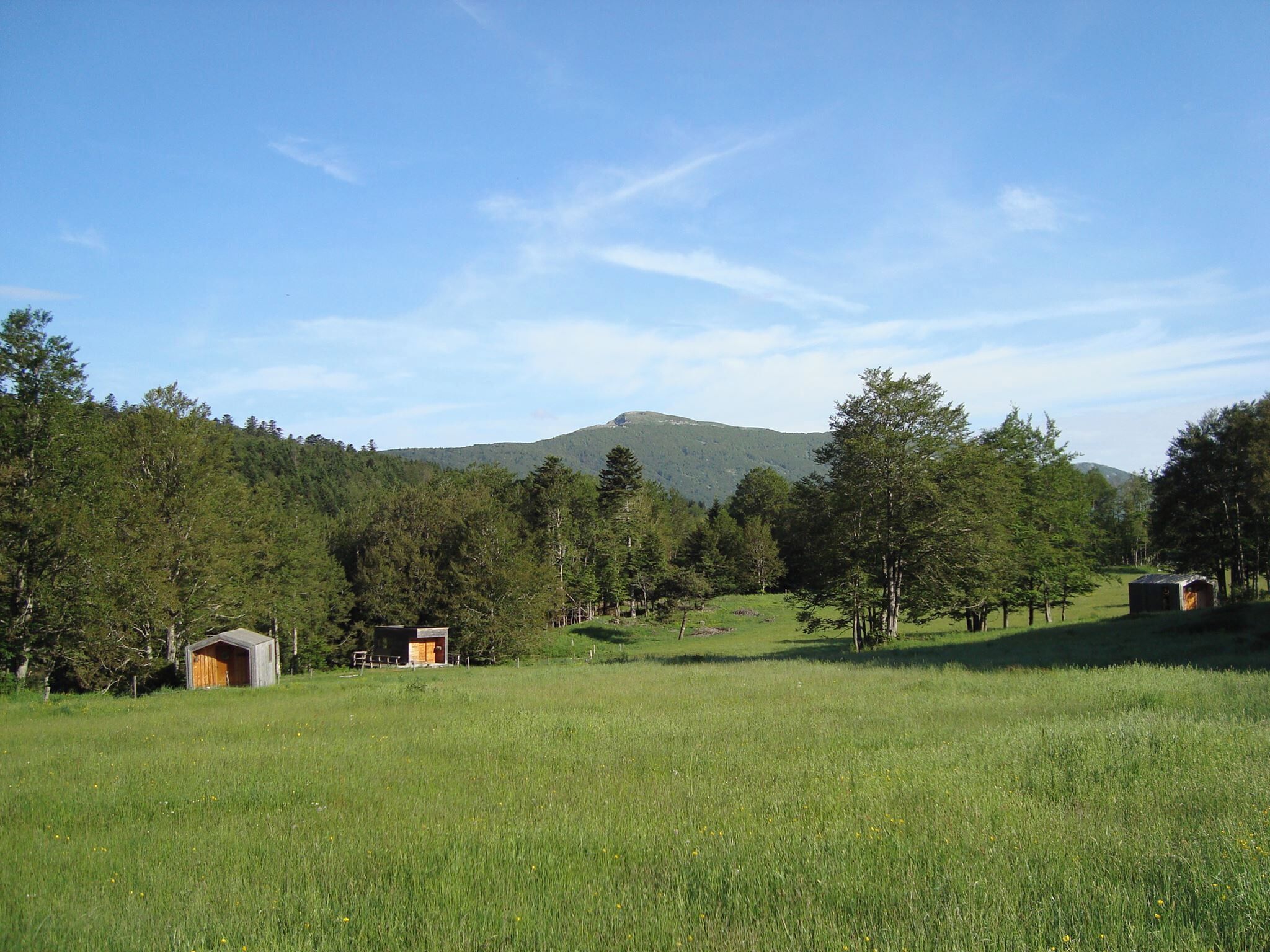 Un paysage rural avec une petite cabane en bois entourée d’arbres et un champ.
