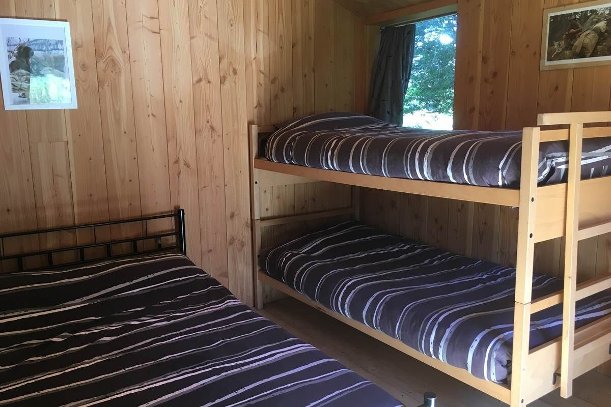 A bunk bed room with wooden walls and a window.
