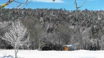 A cabin in a snowy forest with a clear sky.