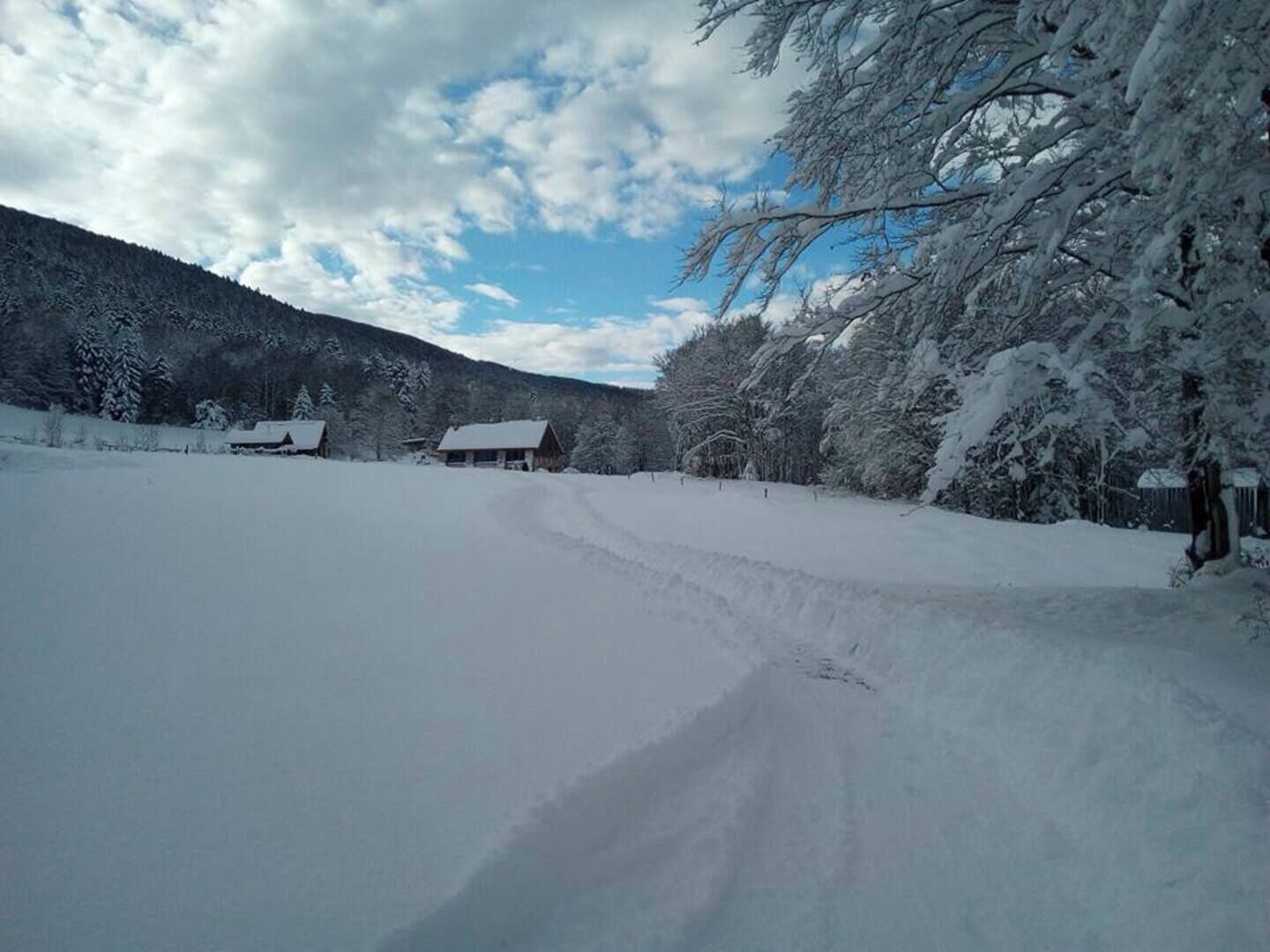 Paisaje nevado con cielo despejado, un sendero de tierra que lleva a una cabaña y una colina boscosa al fondo.