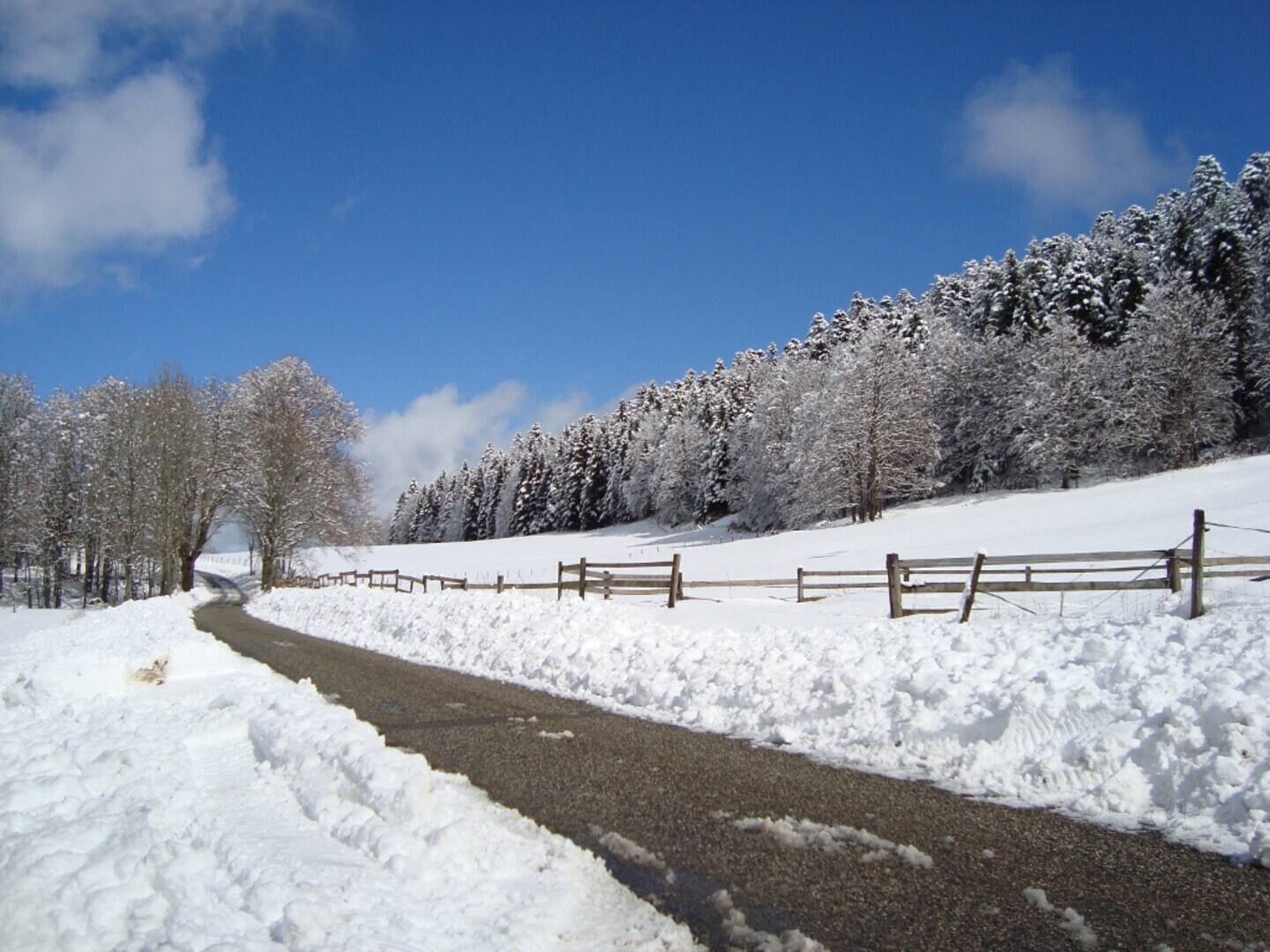 A snow-covered landscape with a paved path, wooden fence, and trees.