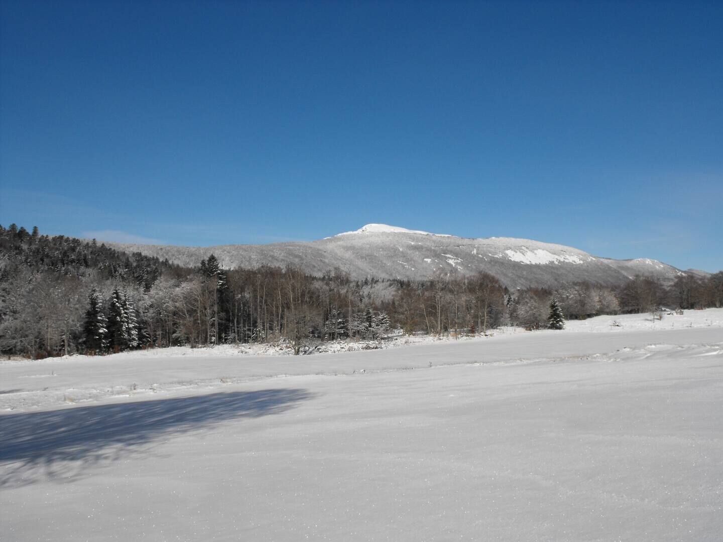 A snowy landscape with a mountain in the background and a clear blue sky.
