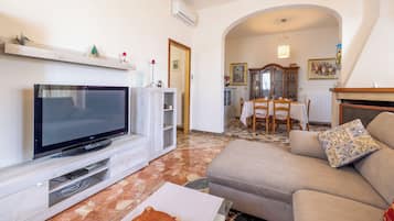 TV, fireplace