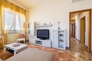 TV, fireplace, video games, DVD player