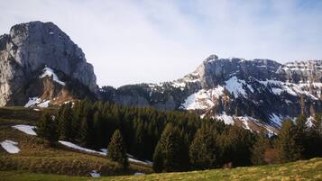 A mountainous landscape with a prominent rocky peak, dense forest, and patches of snow.