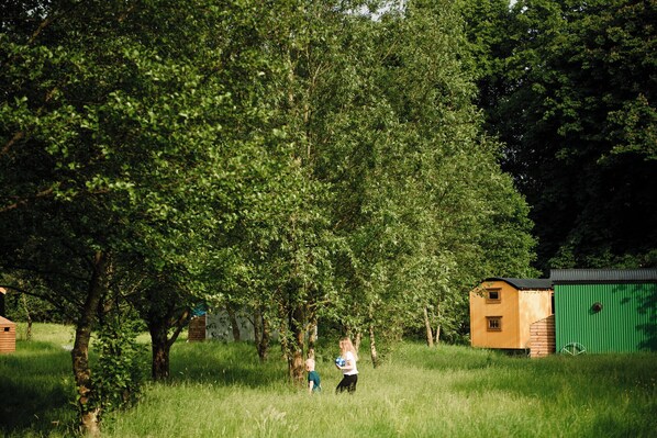 A rural setting with a large tree, a small wooden structure, and a green building.