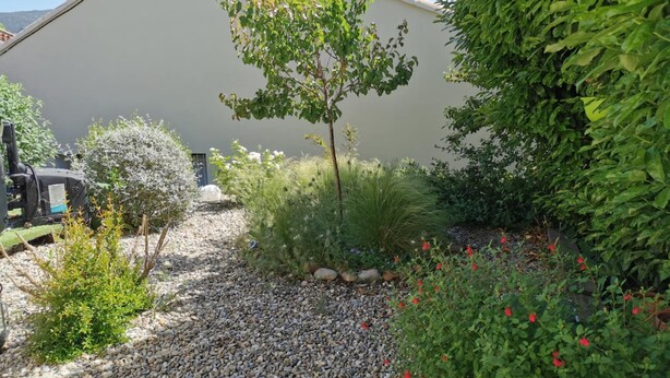 Een tuin met verschillende planten, een grindpad en een gebouw op de achtergrond.