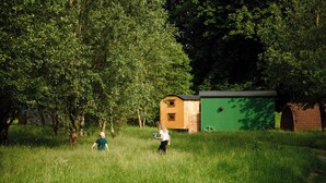 A grassy field with trees, a small yellow and green shed, and a person with a ball. - Cosy en suite shepherd hut on the grounds of Historic building Samlesbury Hall (Samlesbury)