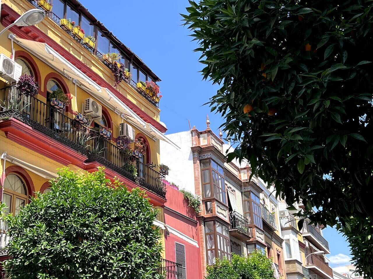 Detalle del exterior