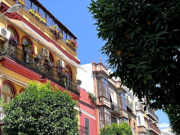 Exterior detail - Apartments Feria Sevilla Centro (Seville)