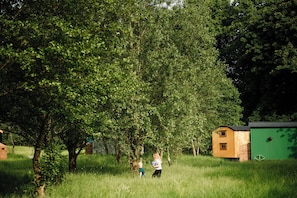 A rural setting with a large tree, a small wooden structure, and a green building.