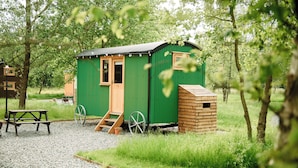 A small green wooden cabin with a door, a window, and a ramp leading to the entrance.