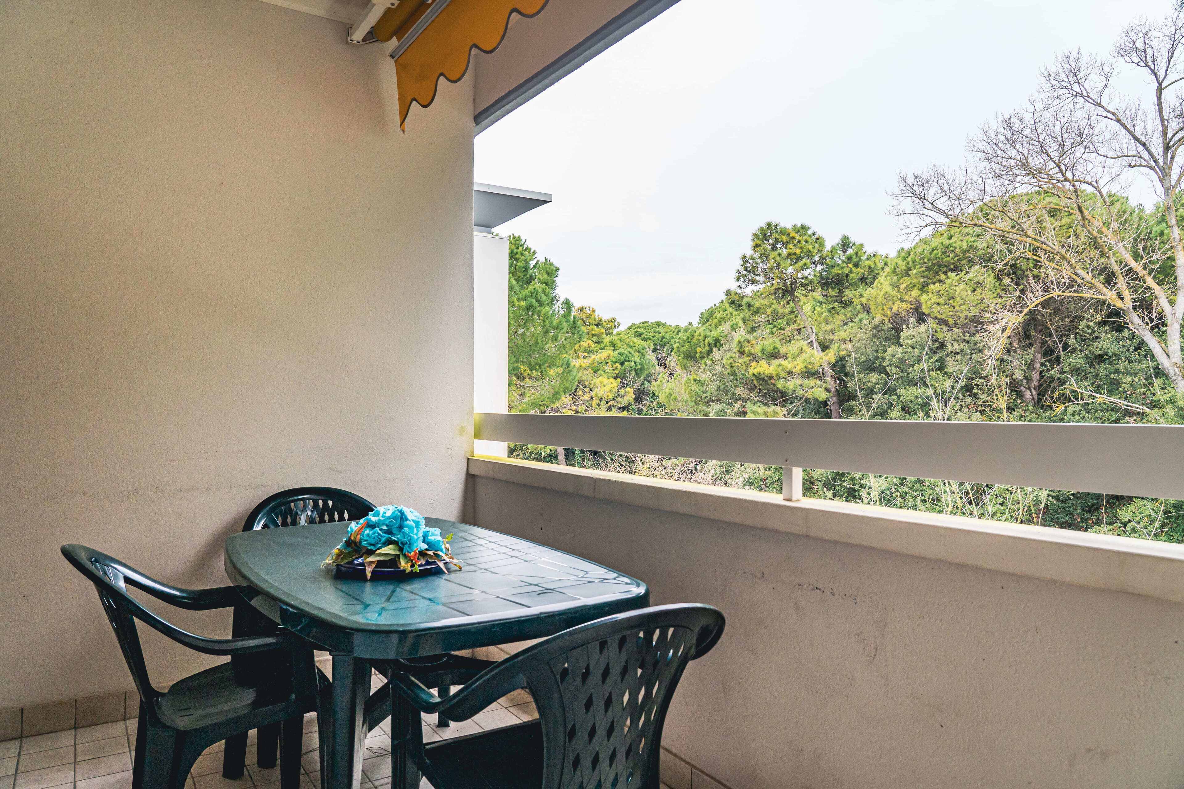 Appartement, 1 chambre, balcon | Balcon