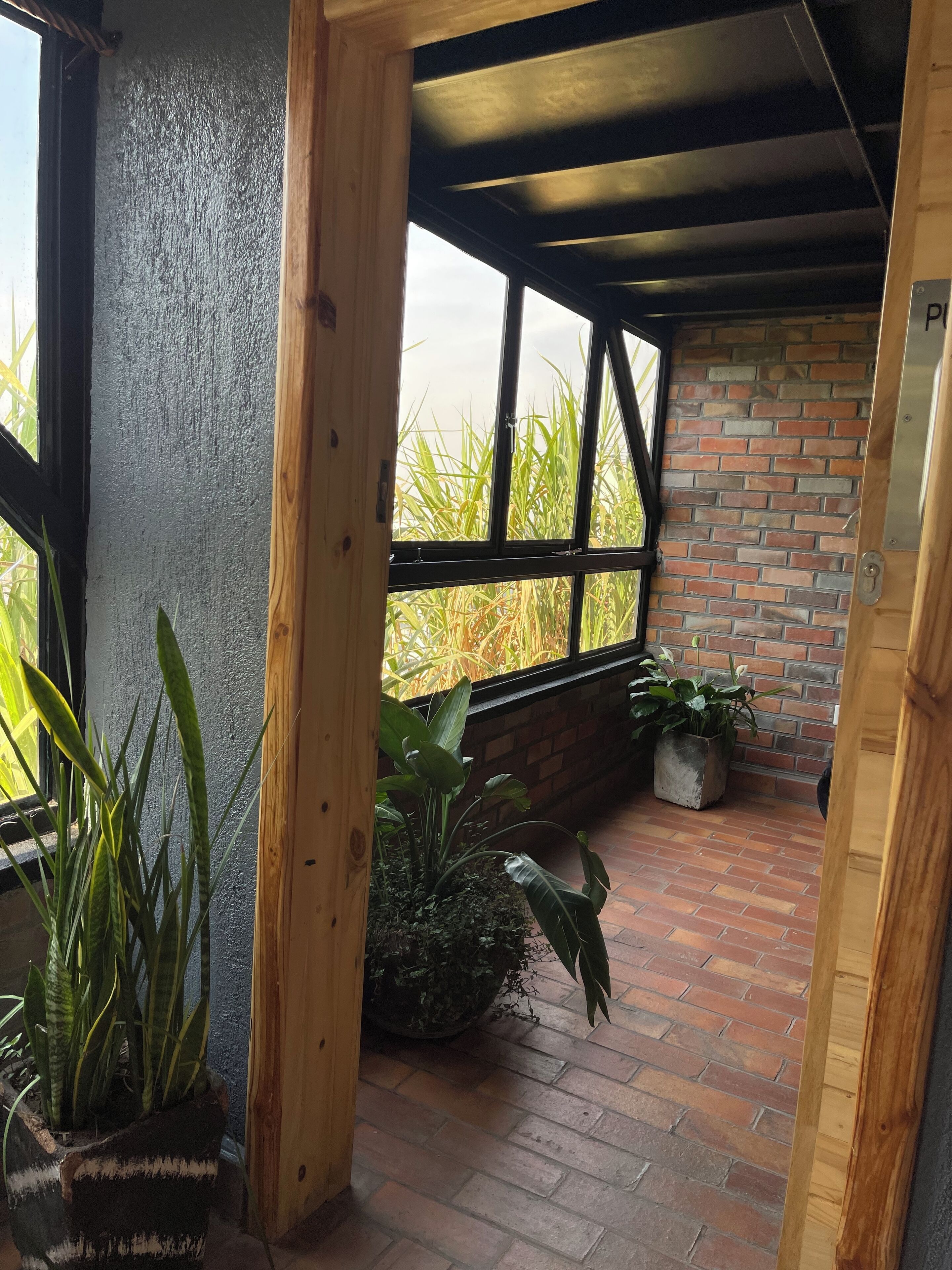 A covered patio area with brick flooring, wooden beams, and potted plants.