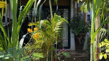 Junior Room | 1 bedroom, blackout drapes, free WiFi