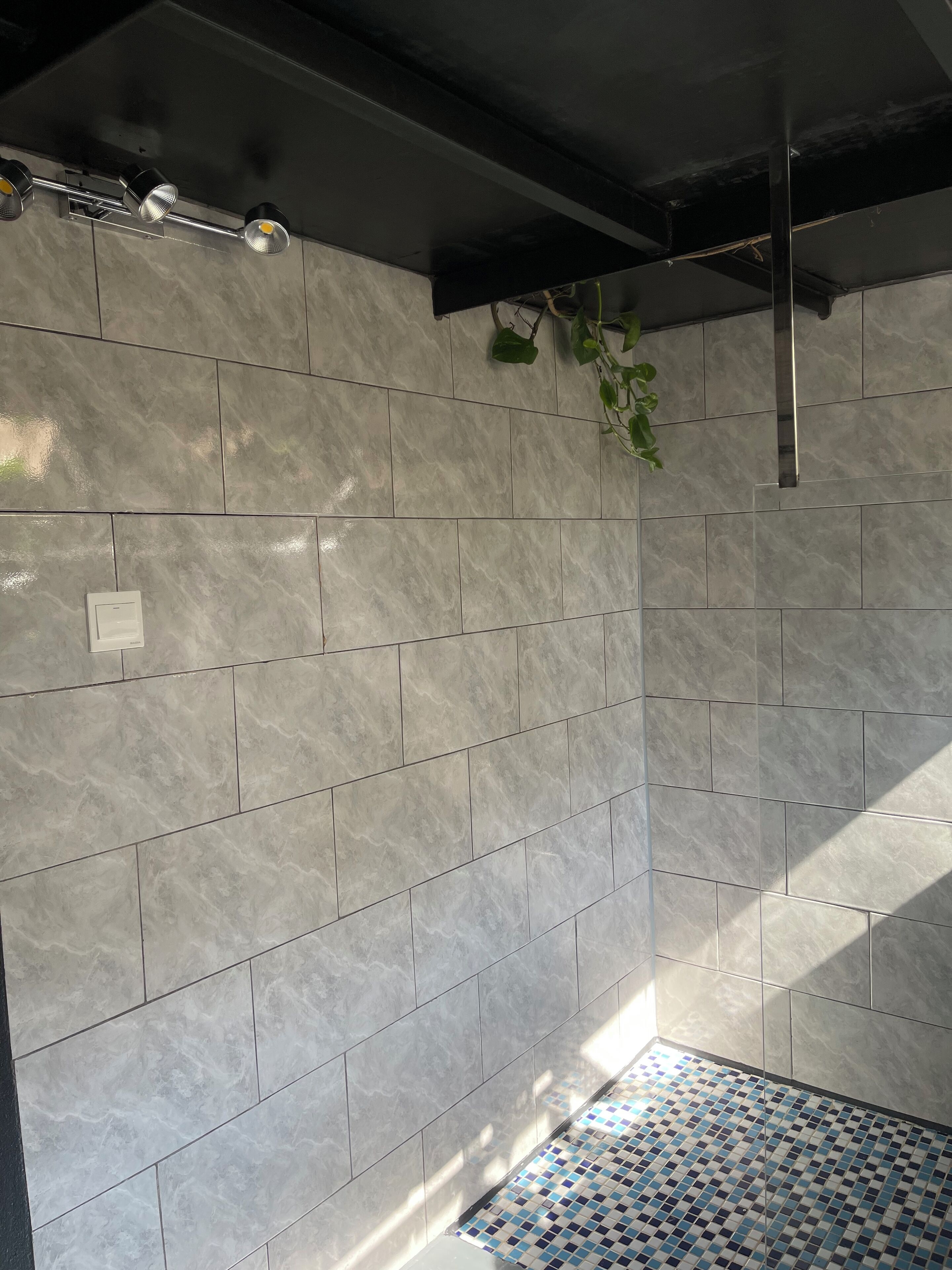 A tiled shower area with a patterned floor, a visible light switch, and a plant hanging from the ceiling.