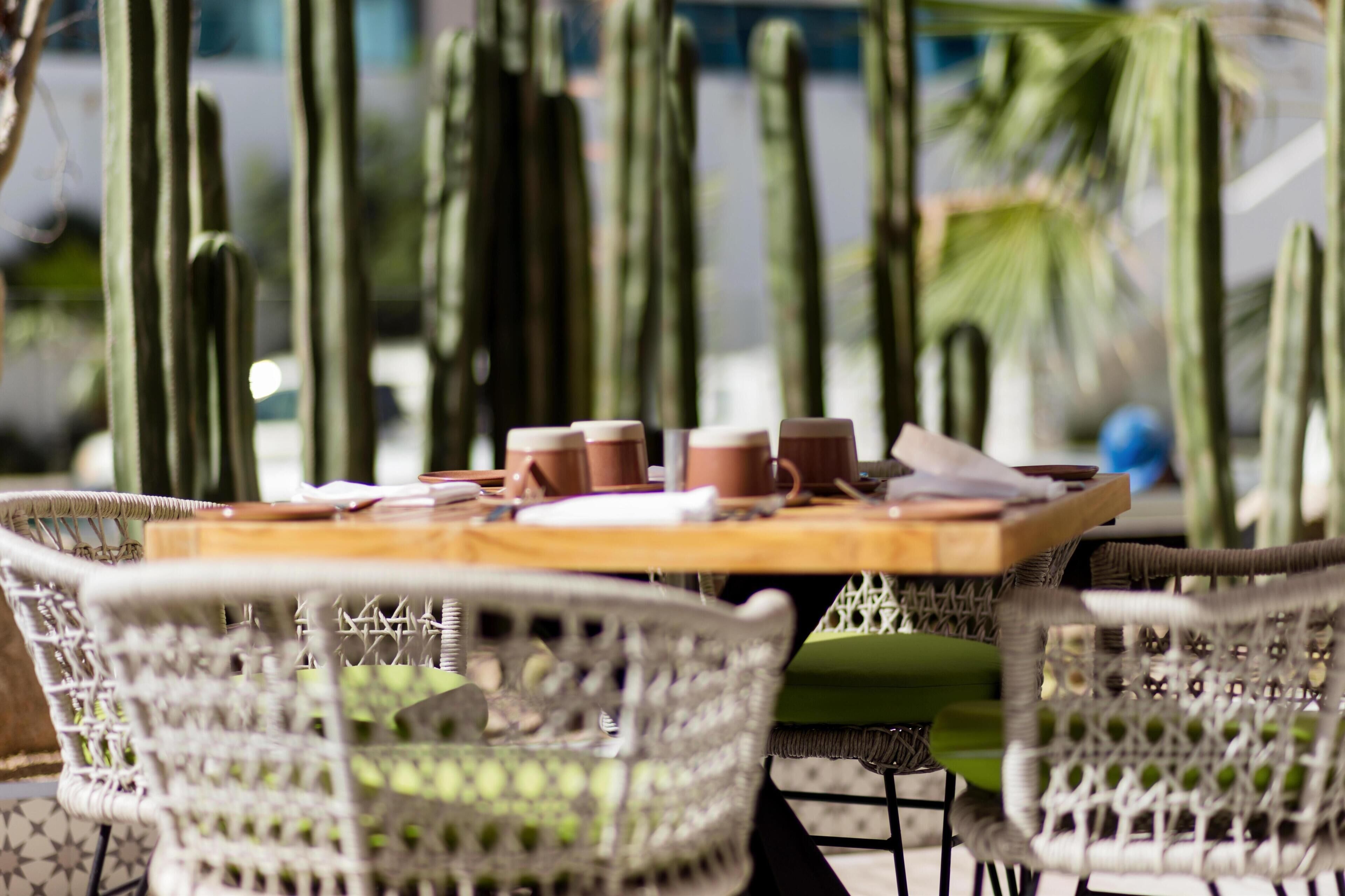 A table set with cups and a menu, surrounded by wicker chairs, with cacti in the background.