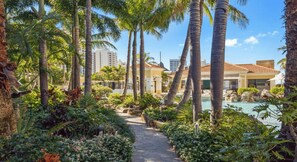 A pathway leading to a pool surrounded by palm trees and greenery, with buildings in the background.