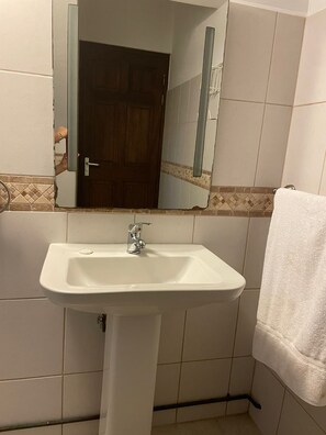 シャワー、ヘアドライヤー、タオル、石鹸