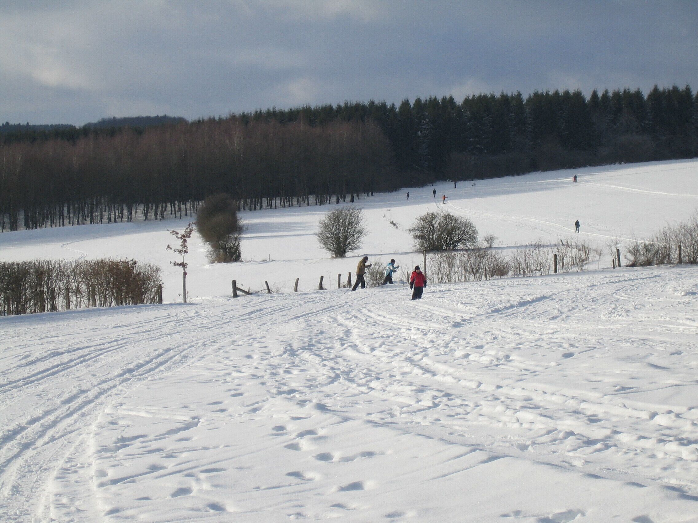 A snowy landscape with a clear path, trees, and a fence.