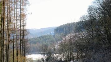 A forested valley with a river, likely a natural setting without visible man-made structures.