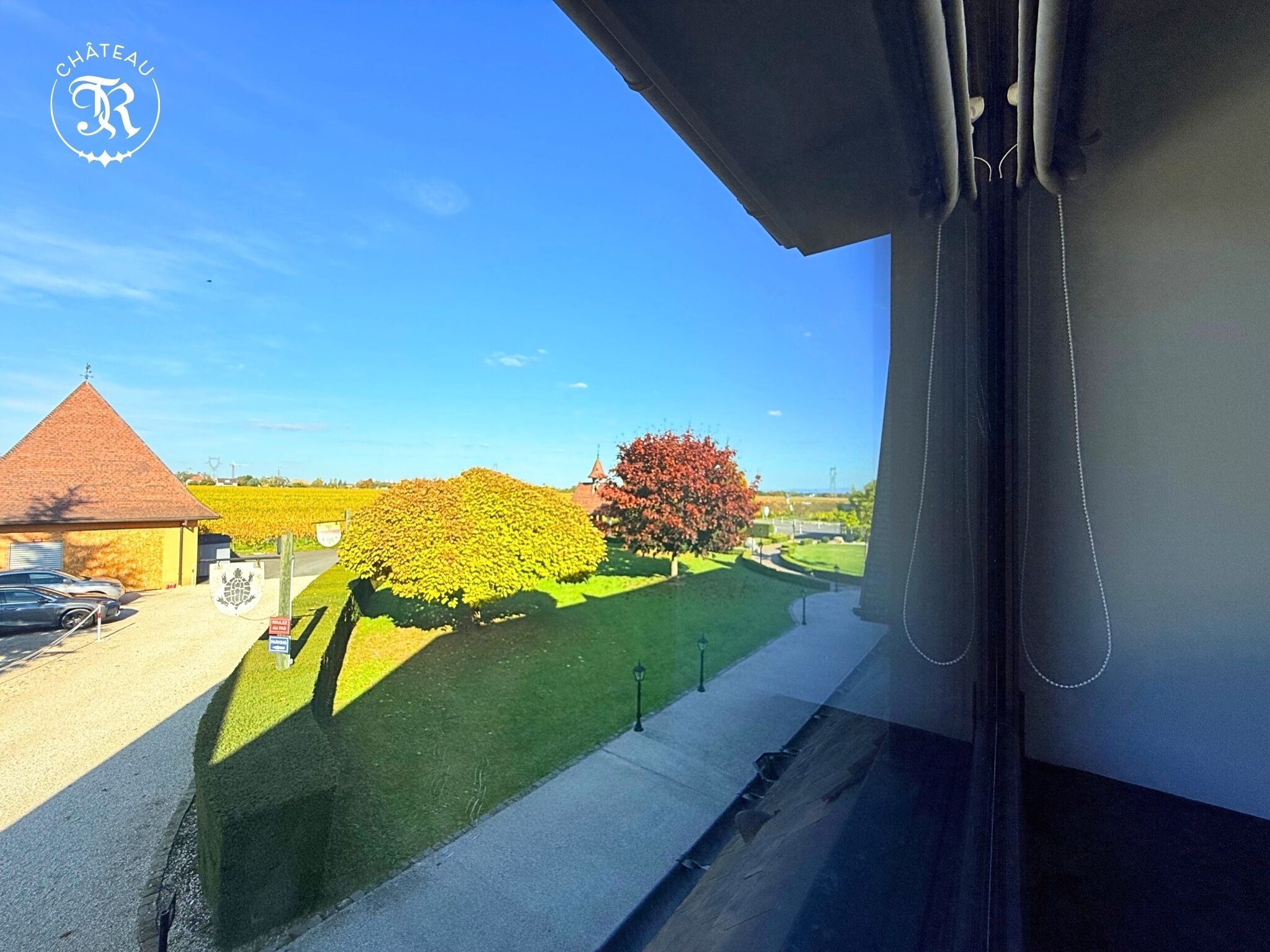 A view from inside a building looking out to a well-maintained garden with a red-roofed building and a tree with red leaves.