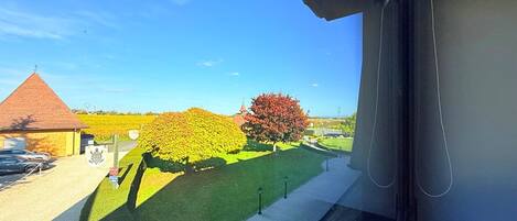 A view from inside a building looking out to a well-maintained garden with a red-roofed building and a tree with red leaves.