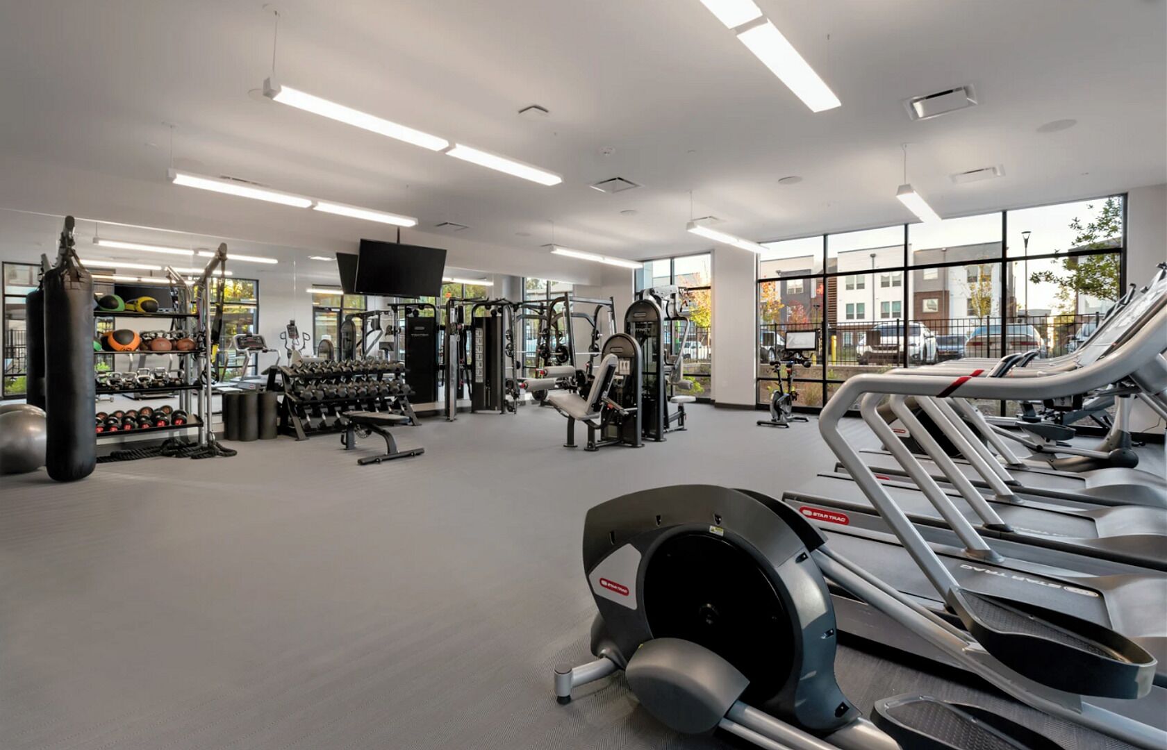 A spacious gym with treadmills, weight machines, and free weights.