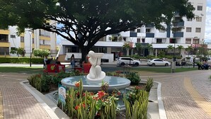 Ein öffentlicher Brunnen mit einem großen Baum in der Mitte, umgeben von einer gepflasterten Fläche mit Bänken und Blumenbeeten.