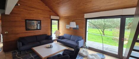 TV connectée, cheminée, lecteur de DVD, livres