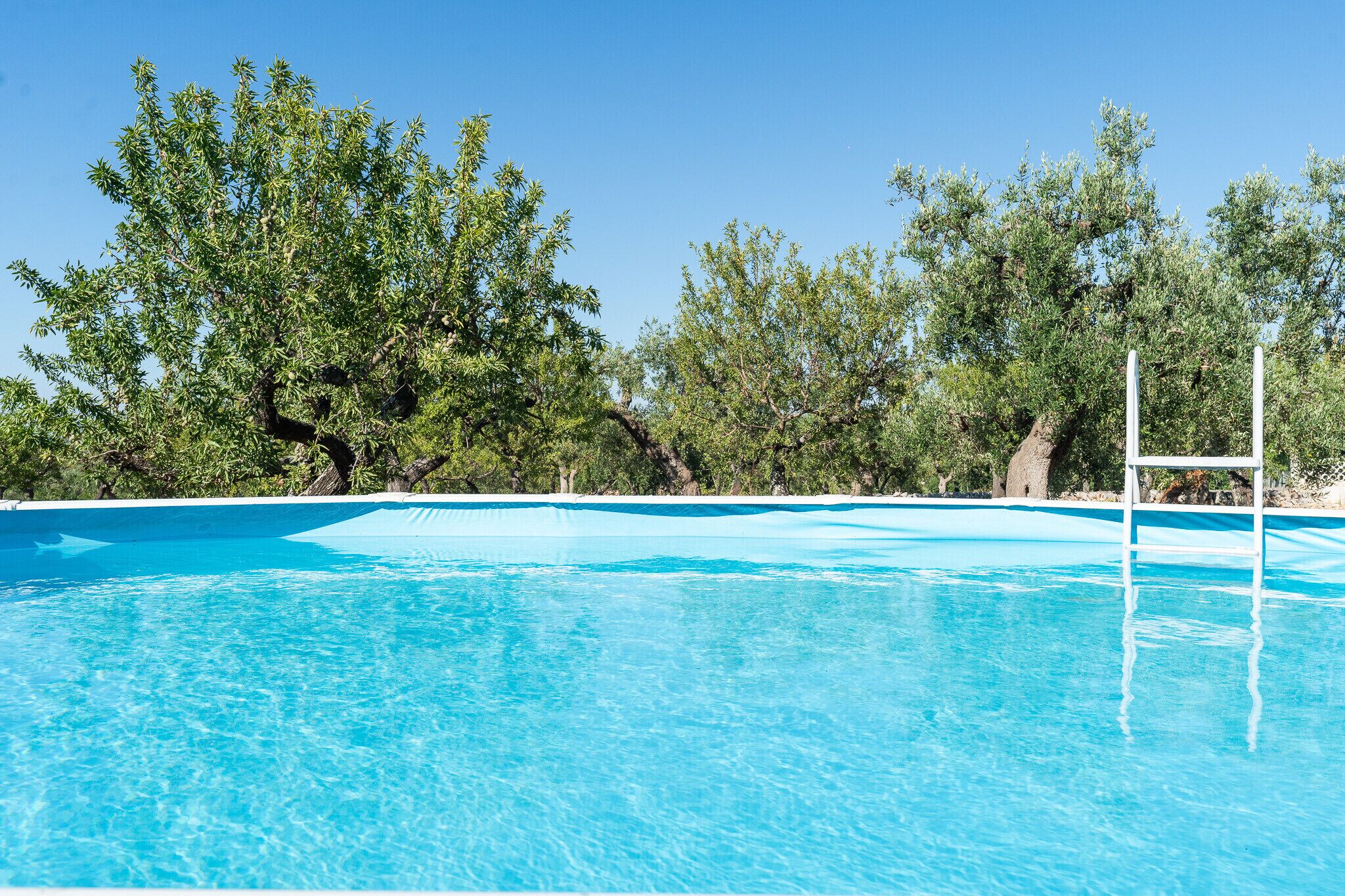 Ein klarer, blauer Pool, umgeben von Bäumen.