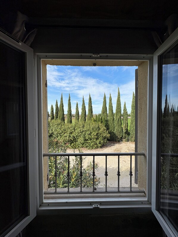 A window with a view of tall cypress trees and a gravel path.