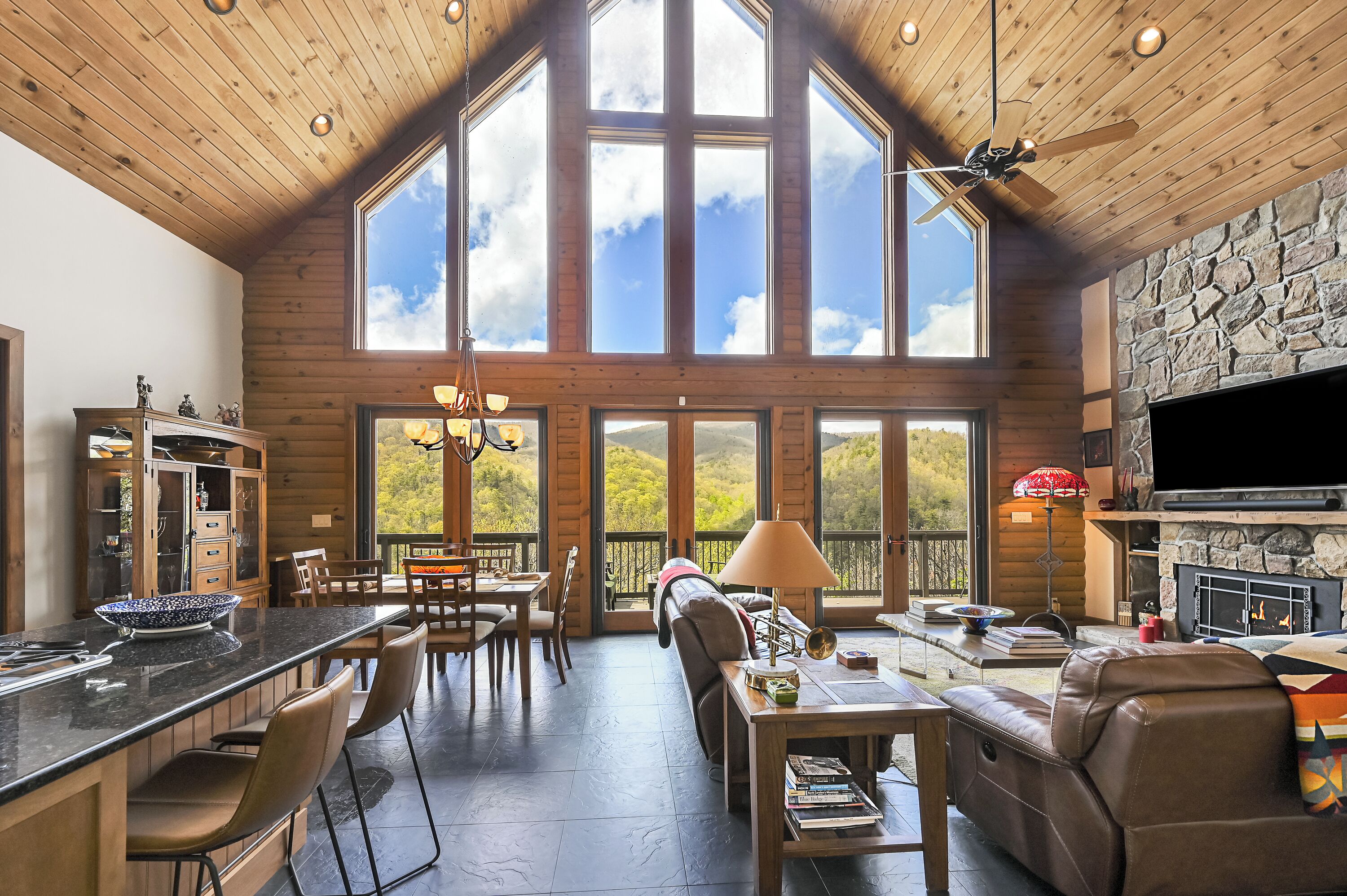 Smart TV, fireplace, DVD player, books