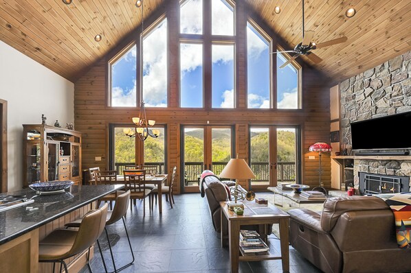 Smart TV, chimenea, reproductor de DVD, libros