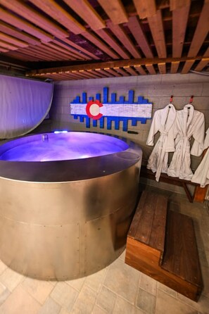 Interior - Central Charming Oasis - Hot Tub & Fire Pit (Denver)