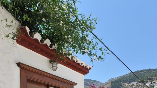 Ένας στενός δρόμος με ένα λευκό κτίριο, μια ξύλινη πόρτα και έναν τοίχο καλυμμένο με μωβ λουλούδια.