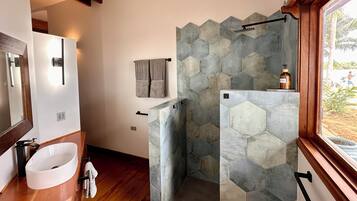 Hair dryer, bidet, towels