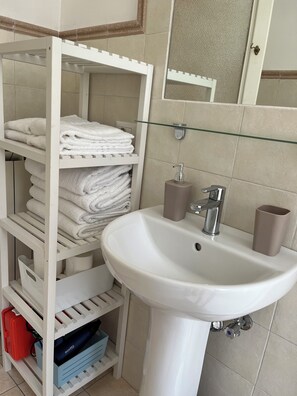 Shower, hair dryer, bidet, towels