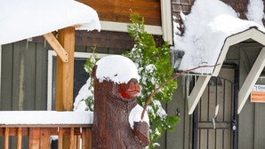 Une sculpture en bois représentant un arbre avec une branche, placée devant un bâtiment dont le toit est recouvert de neige et sur lequel on peut lire l'inscription « Porte pour une ventilation maximale ».
