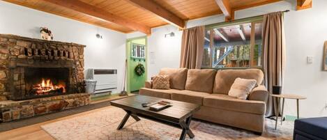 TV, fireplace, video games, books