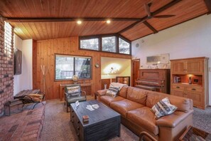 TV, fireplace, books