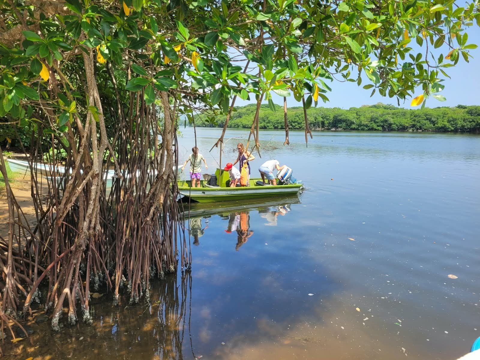 A calm lake with a boat docked near a mangrove area.