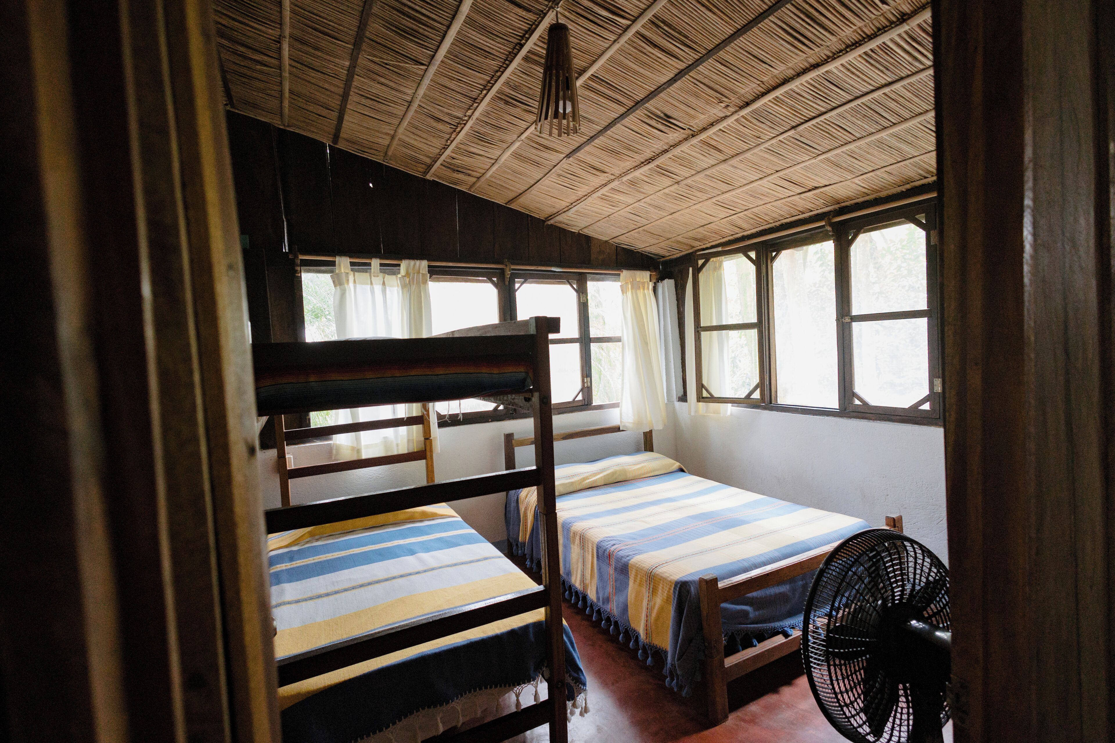 A room with two wooden bunk beds, a fan, and windows with curtains.