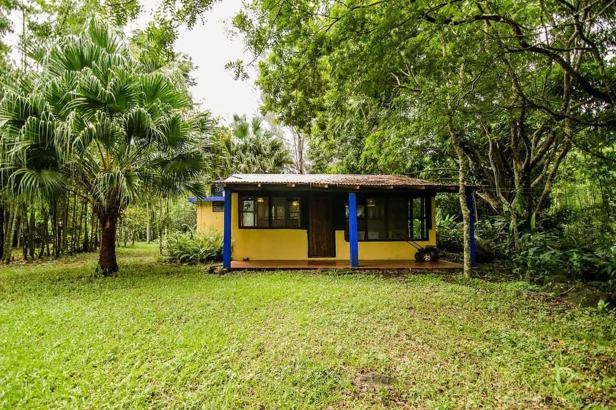 Um pequeno edifício térreo com telhado plano, rodeado por vegetação exuberante e árvores.