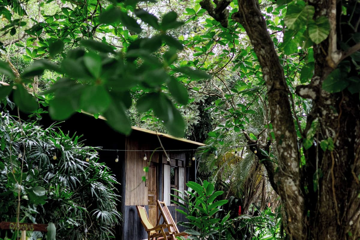Uma cabana de madeira rústica rodeada por vegetação densa, com um caminho de pedras que a leva até ela.