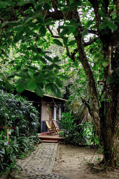 Los Amigos Ecoturismo y Reserva Natural